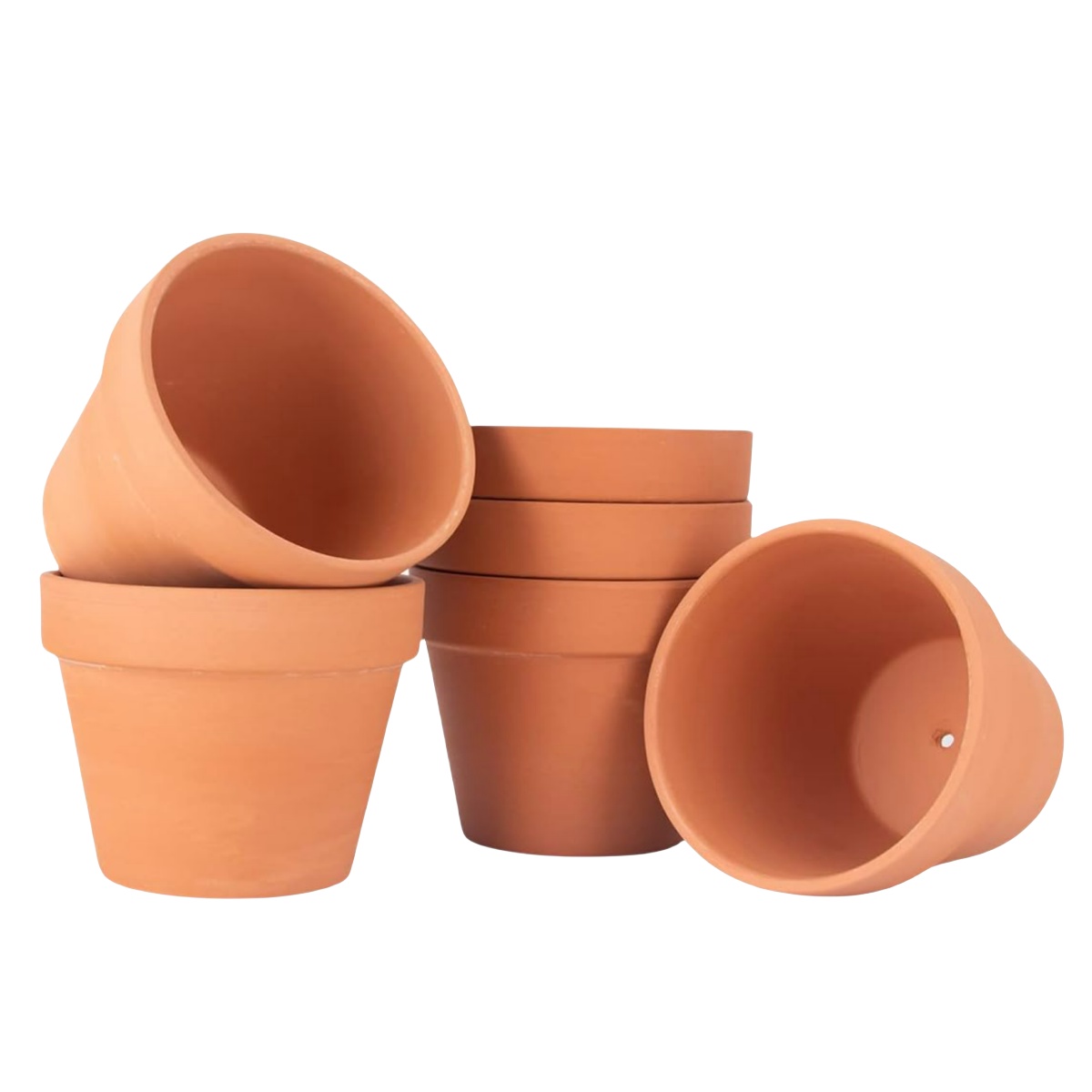 Cactus Mix Pot - 6 adet 4 inç Pişmiş Toprak