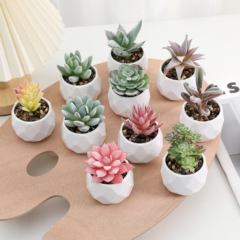 Cactus Mix Pot - Mini Yapay Bitkiler Simülasyon Dökmeyen Etli