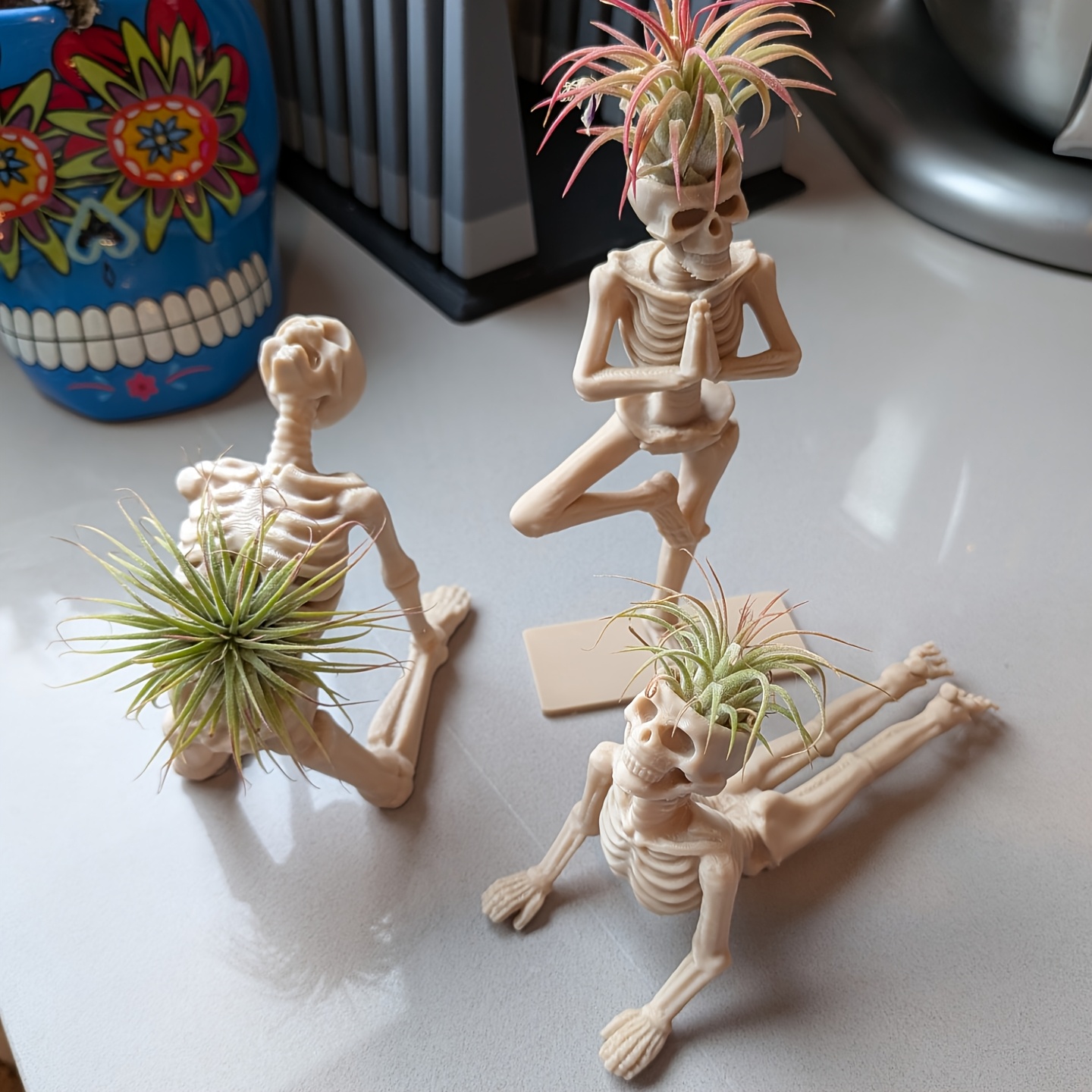 Snake Plant Ceramic - 3D Baskılı Yoga İskeleti Bitki Standı
