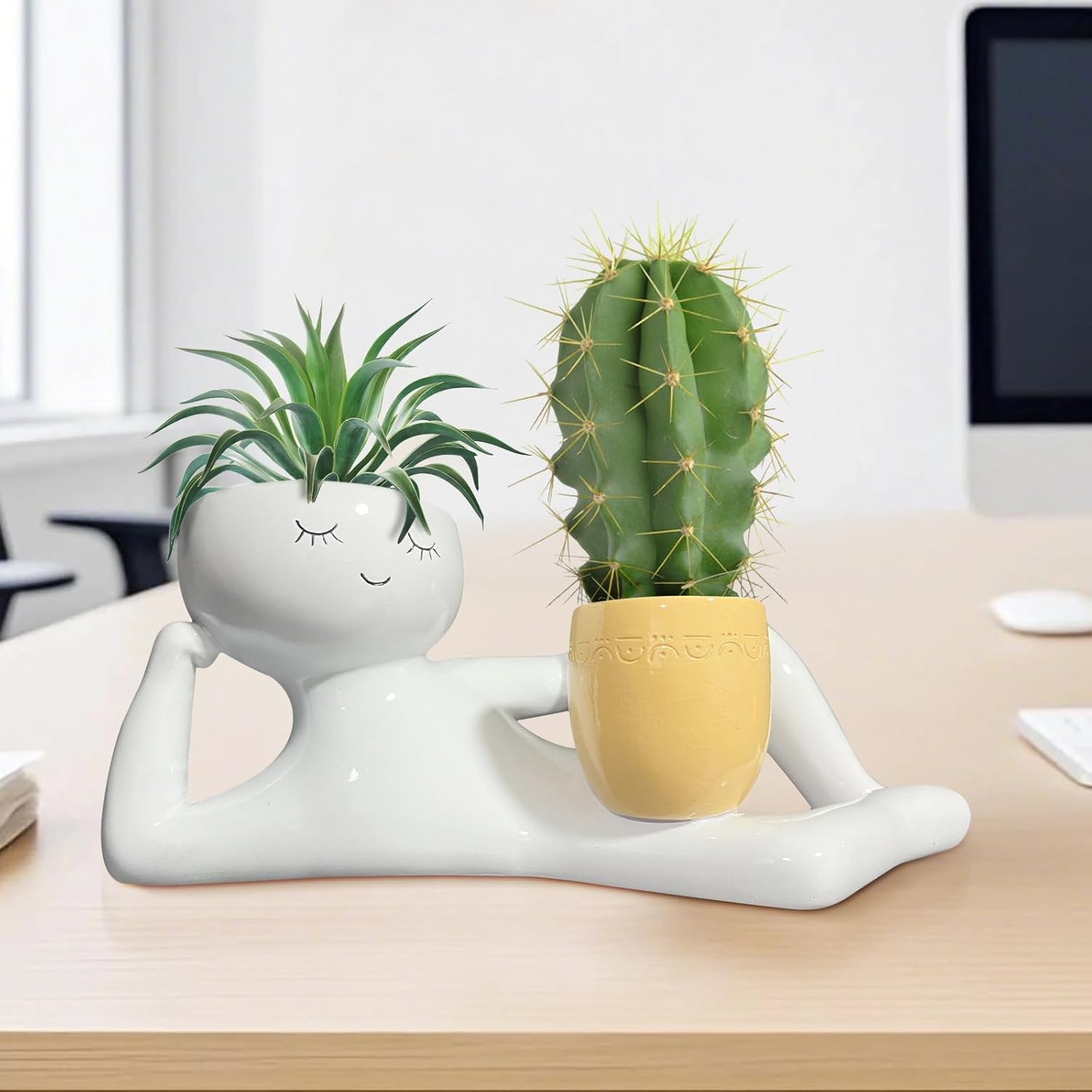 Tembel Küçük Adam Saksı, Benze - Cactus Mix Pot incelemesi ve fiyatı