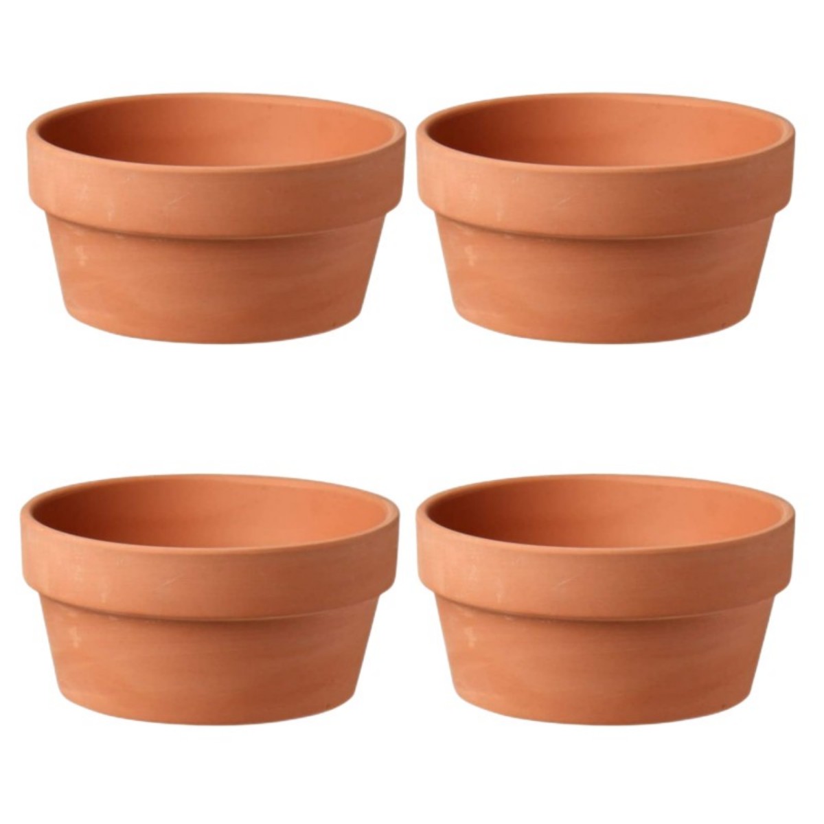 6 adet Terracotta Buld tencere - Cactus Mix Pot incelemesi ve fiyatı