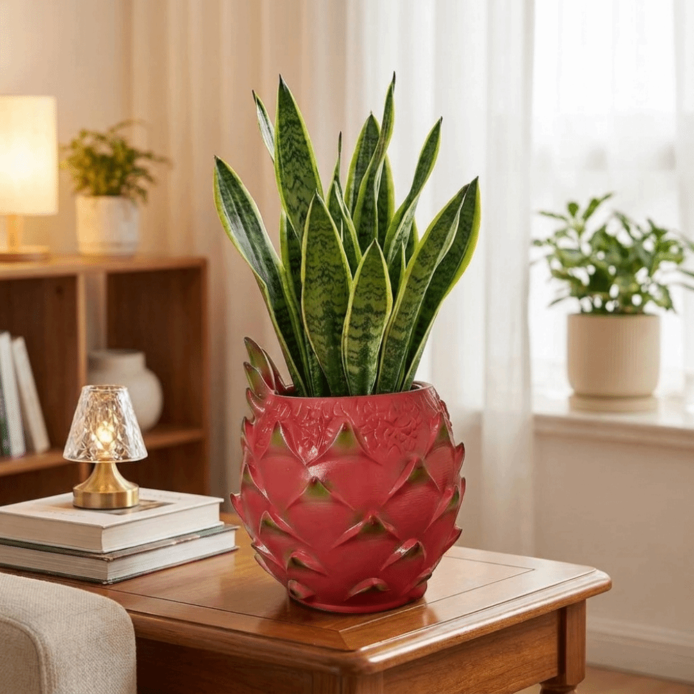 Yaratıcı Reçine Ejder Meyvesi  - Snake Plant Ceramic incelemesi ve fiyatı
