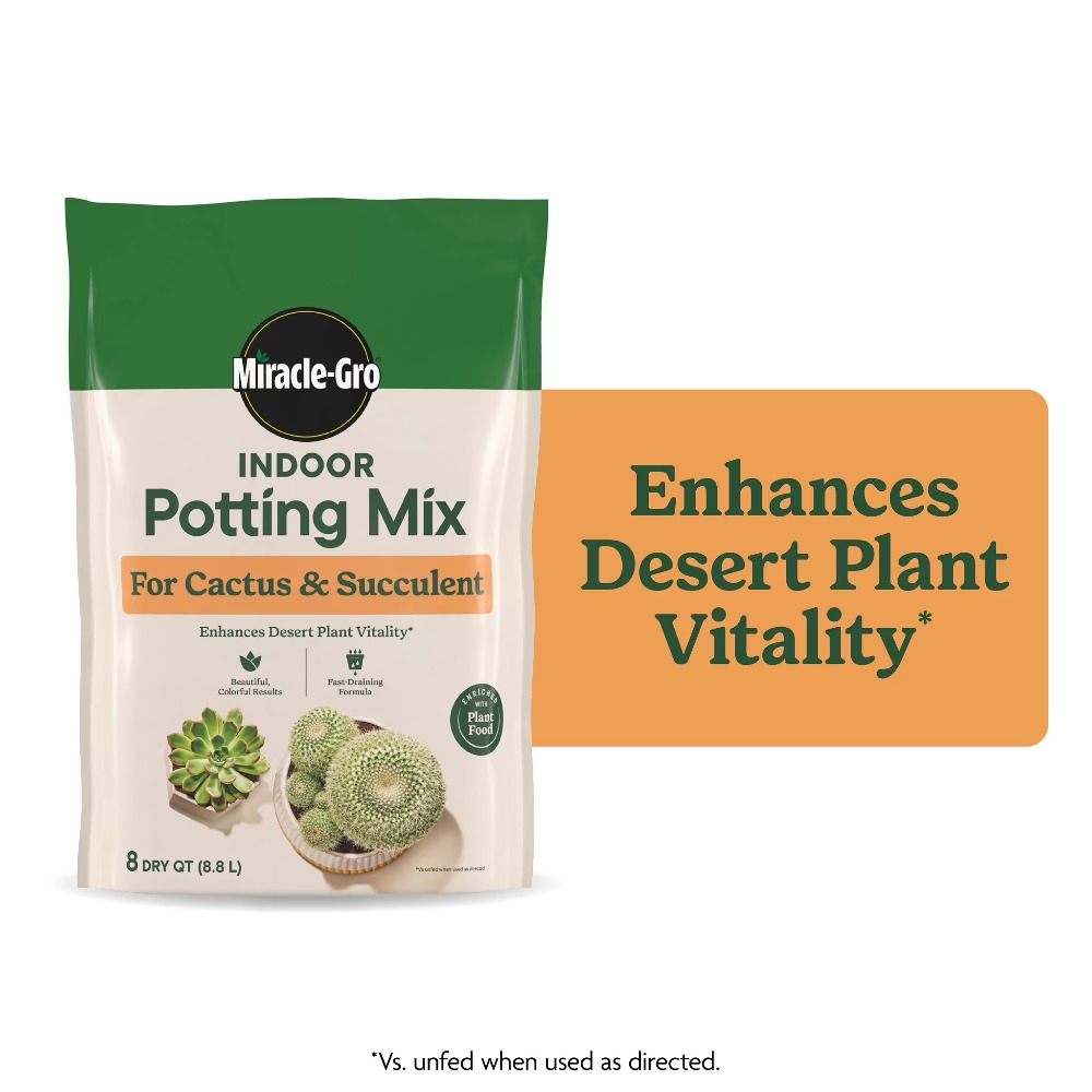 2'li Paket 8 Quart Hızlı Sızdı - Cactus Mix Pot incelemesi ve fiyatı