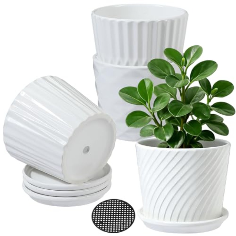 Bitki Saksıları - Bağlantılı T - Snake Plant Ceramic incelemesi ve fiyatı