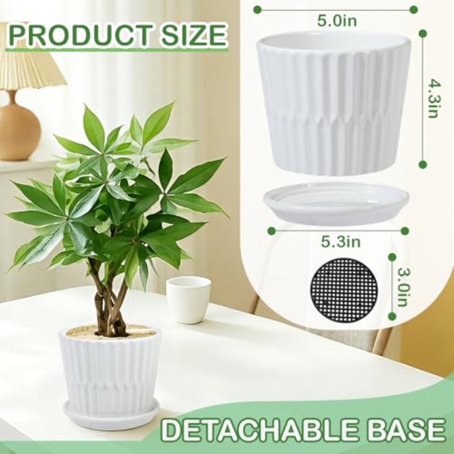 Bitki Saksıları - Bağlantılı T - Snake Plant Ceramic incelemesi ve fiyatı
