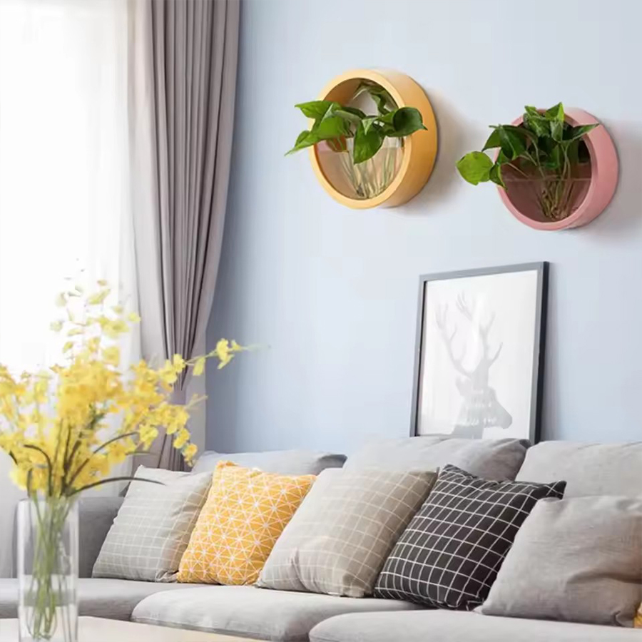 Yuvarlak Duvara Monte Saksı 3  - Snake Plant Ceramic incelemesi ve fiyatı