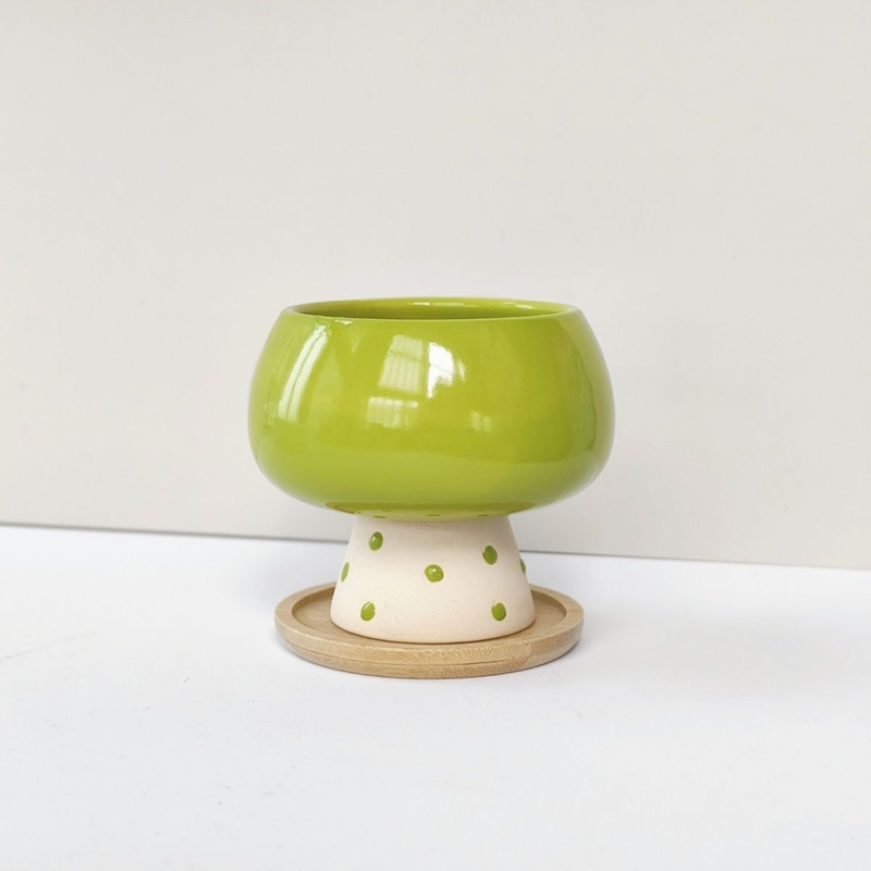 Şık Minimalist Seramik Saksı,  - Snake Plant Ceramic incelemesi ve fiyatı