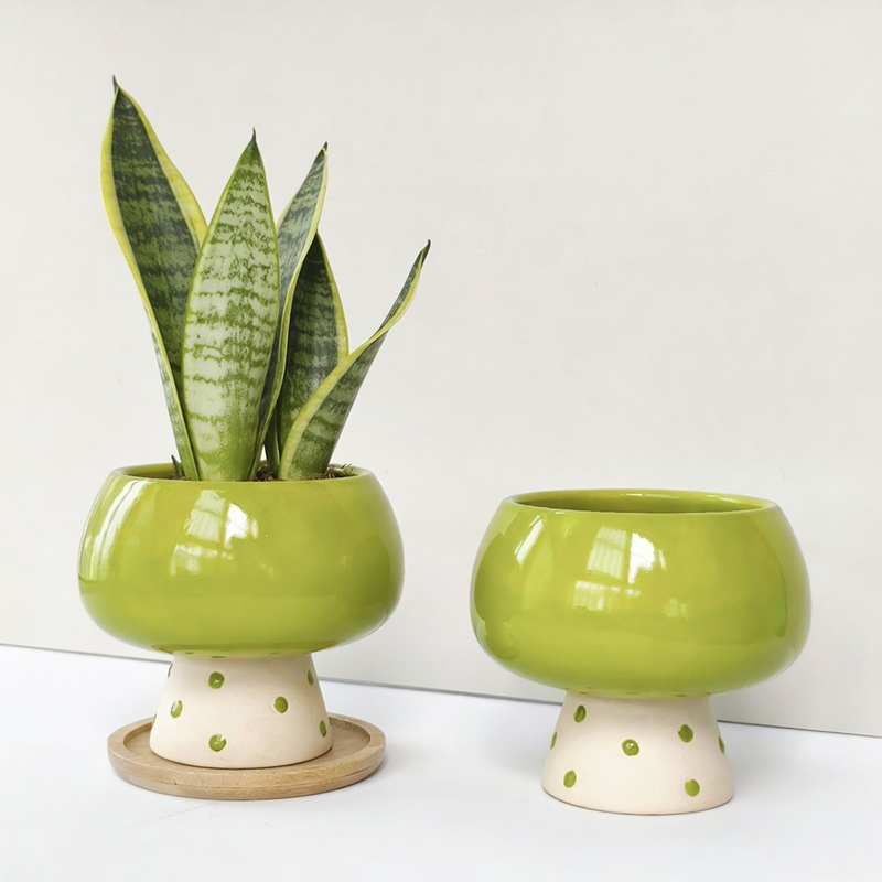 Şık Minimalist Seramik Saksı,  - Snake Plant Ceramic incelemesi ve fiyatı