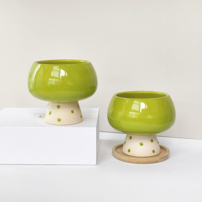 Şık Minimalist Seramik Saksı,  - Snake Plant Ceramic incelemesi ve fiyatı