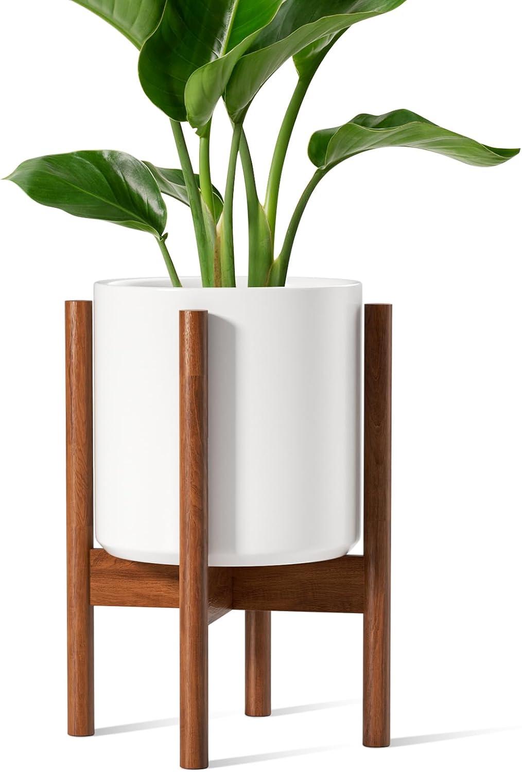 12 İnç Beyaz Yükseltilmiş Sera - Snake Plant Ceramic incelemesi ve fiyatı
