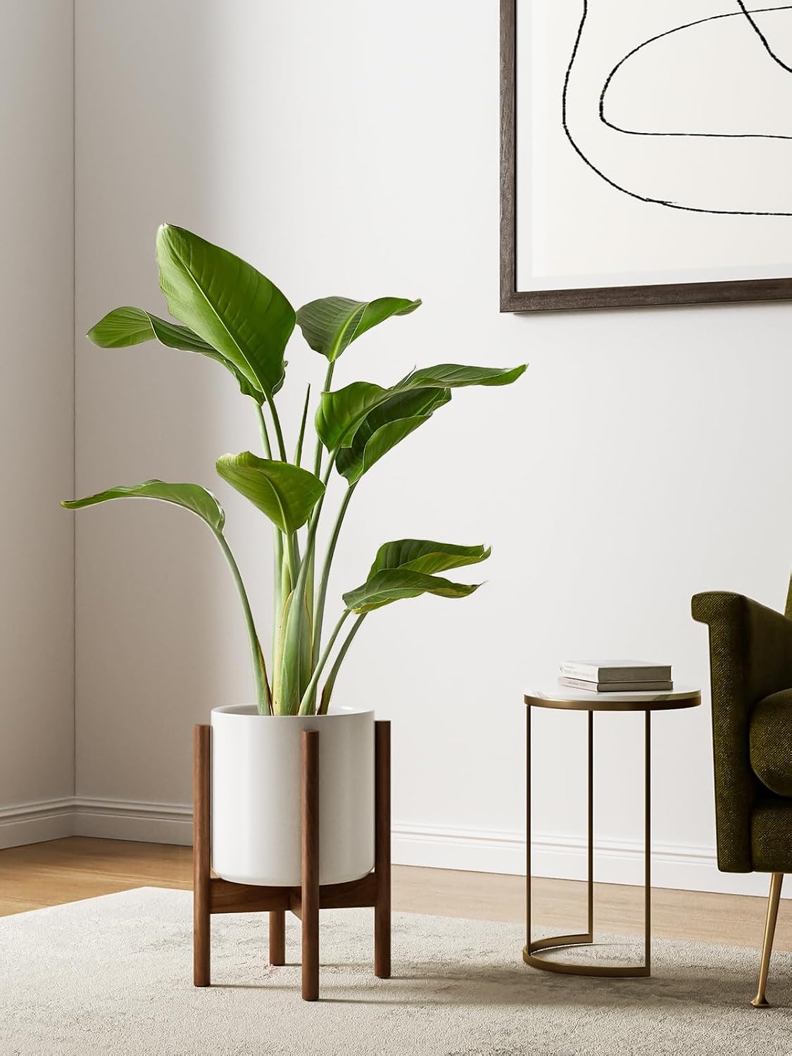 12 İnç Beyaz Yükseltilmiş Sera - Snake Plant Ceramic incelemesi ve fiyatı