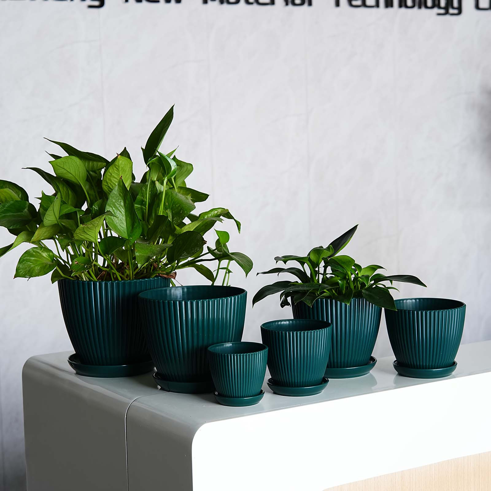 Dikey Çizgili Saksı Kalınlaştı - Snake Plant Ceramic incelemesi ve fiyatı