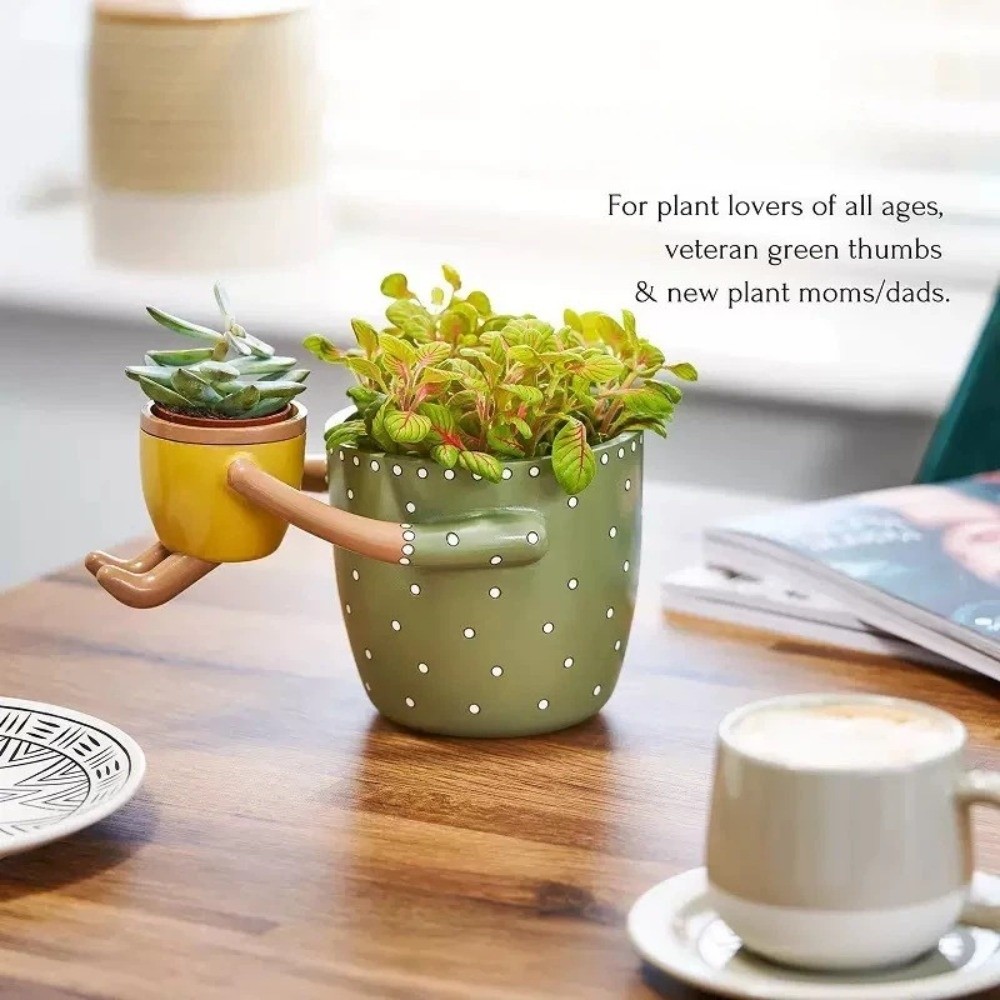 Reçine Ebeveyn-çocuk Saksısı D - The Plant Parent incelemesi ve fiyatı